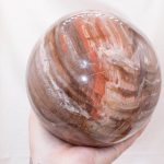Petrified Wood Sphere - AAA Premium Quality - Image 58