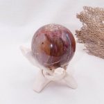 Petrified Wood Sphere - AAA Premium Quality - Image 6