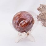 Petrified Wood Sphere - AAA Premium Quality - Image 10