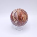 Petrified Wood Sphere - AAA Premium Quality - Image 12