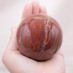 Petrified Wood Sphere - AAA Premium Quality - Image 15