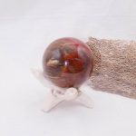 Petrified Wood Sphere - AAA Premium Quality - Image 13