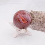 Petrified Wood Sphere - AAA Premium Quality - Image 18