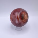 Petrified Wood Sphere - AAA Premium Quality - Image 20