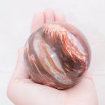 Petrified Wood Sphere - AAA Premium Quality - Image 23