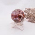 Petrified Wood Sphere - AAA Premium Quality - Image 22