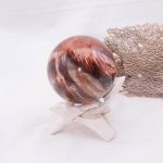Petrified Wood Sphere - AAA Premium Quality - Image 21