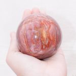 Petrified Wood Sphere - AAA Premium Quality - Image 26