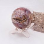 Petrified Wood Sphere - AAA Premium Quality - Image 32