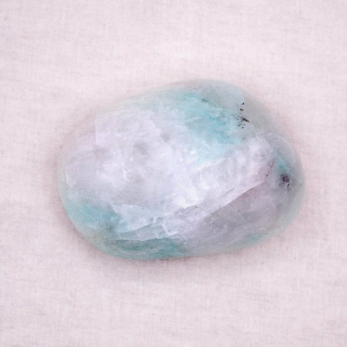 Rare Quantum Quattro Specimen's - 1 of a Kind - Image 18