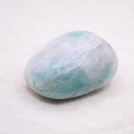 Rare Quantum Quattro Specimen's - 1 of a Kind - Image 17
