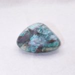 Rare Quantum Quattro Specimen's - 1 of a Kind - Image 21
