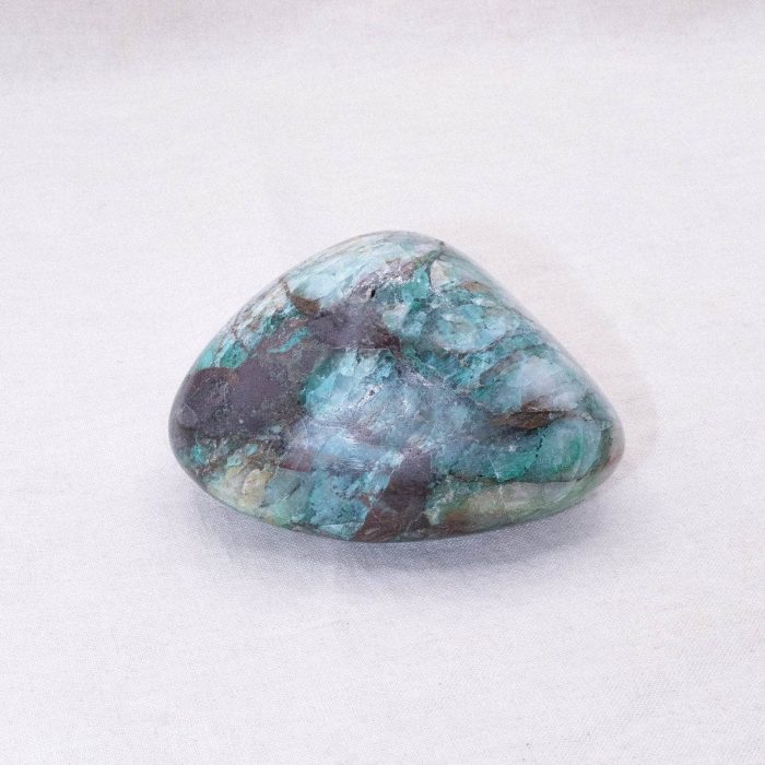 Rare Quantum Quattro Specimen's - 1 of a Kind - Image 21