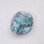 Rare Quantum Quattro Specimen's - 1 of a Kind - Image 22