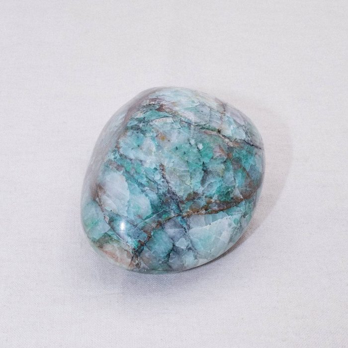 Rare Quantum Quattro Specimen's - 1 of a Kind - Image 22