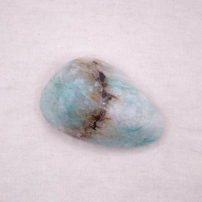 Rare Quantum Quattro Specimen's - 1 of a Kind - Image 25