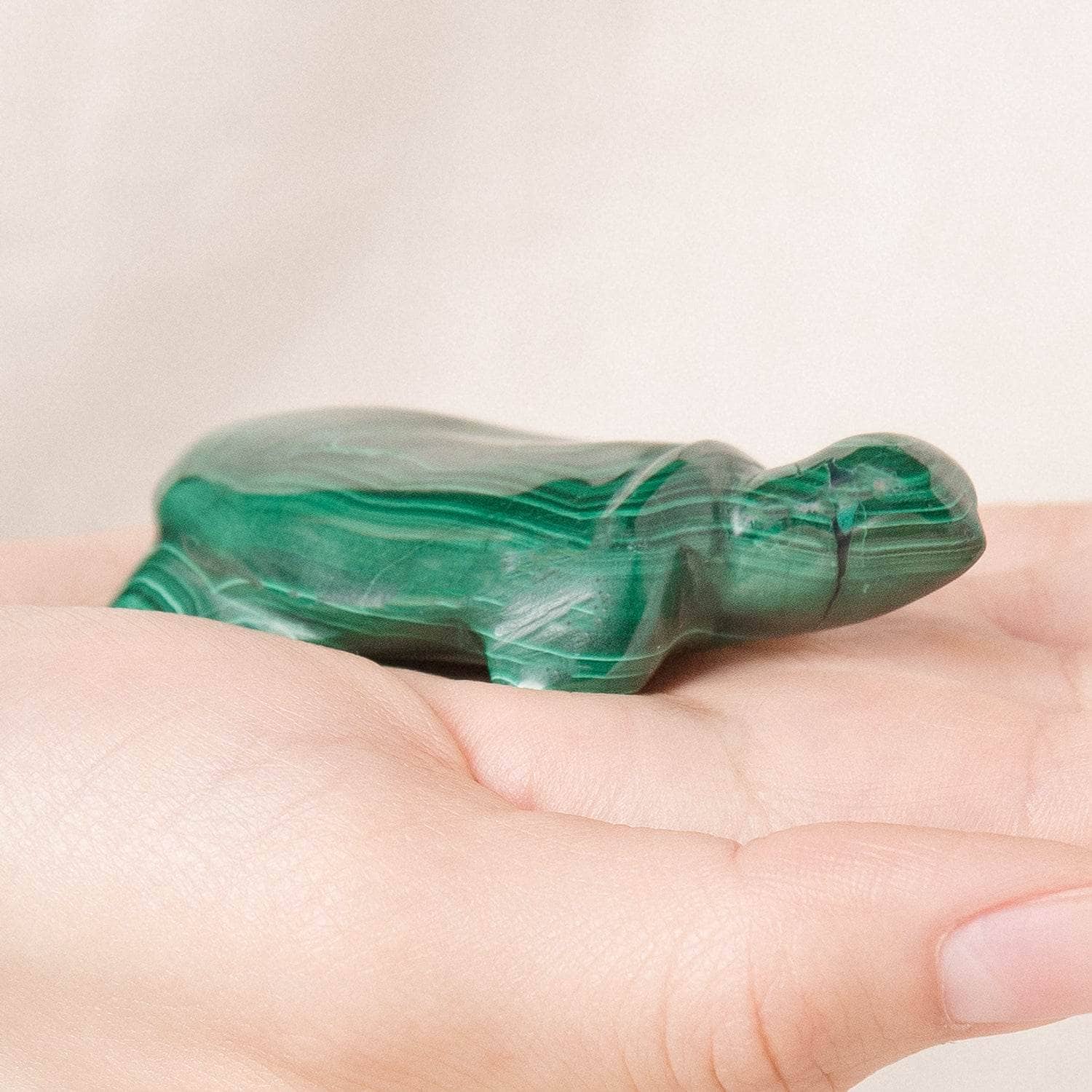 TR-TURLE-mal-QE-1.00 Genuine Malachite Turtles- Hand Carved - 1 of a Kind - Image 1