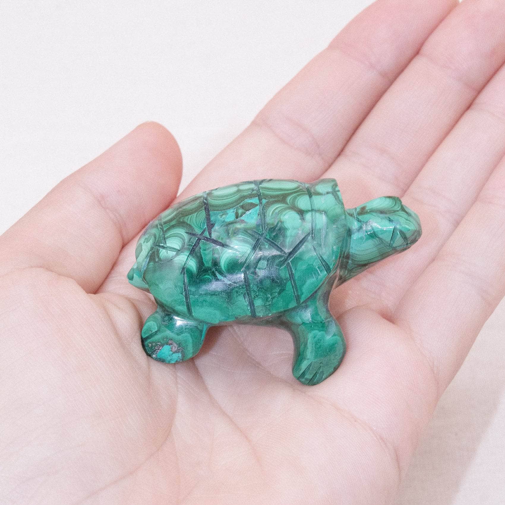 TR-TURT-MAL-QE-8-4 Genuine Malachite Turtles- Hand Carved - 1 of a Kind - Image 33