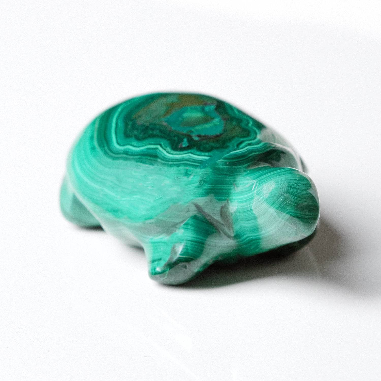 TR-turt-mal-QE-6 Genuine Malachite Turtles- Hand Carved - 1 of a Kind - Image 29