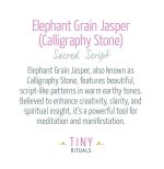 Elephant Jasper Energy Bracelet - Image 4