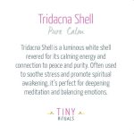 Tridacna Shell Energy Bracelet - Image 4