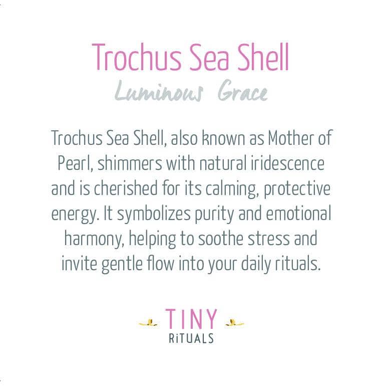 TR_Packaging_07 Trochus Sea Shell Energy Bracelet - 6mm - Image 4