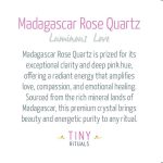 Madagascar Rose Quartz Energy Bracelet - 6mm - Image 4