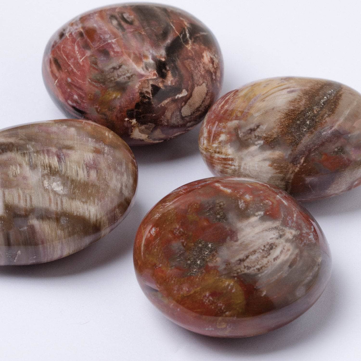 Tr-ps-pw-m1-L-2 Petrified Wood Palm Stones - AAA Premium Quality - Image 11