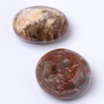 Petrified Wood Palm Stones - AAA Premium Quality - Image 13