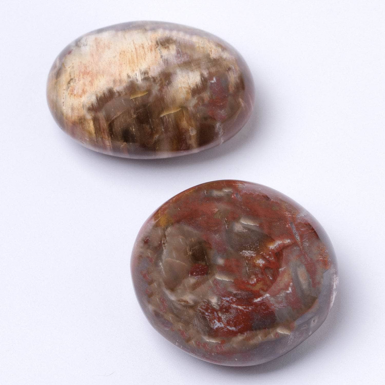 Tr-ps-pw-m1-L-3 Petrified Wood Palm Stones - AAA Premium Quality - Image 13