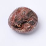 Petrified Wood Palm Stones - AAA Premium Quality - Image 14