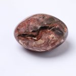 Petrified Wood Palm Stones - AAA Premium Quality - Image 15