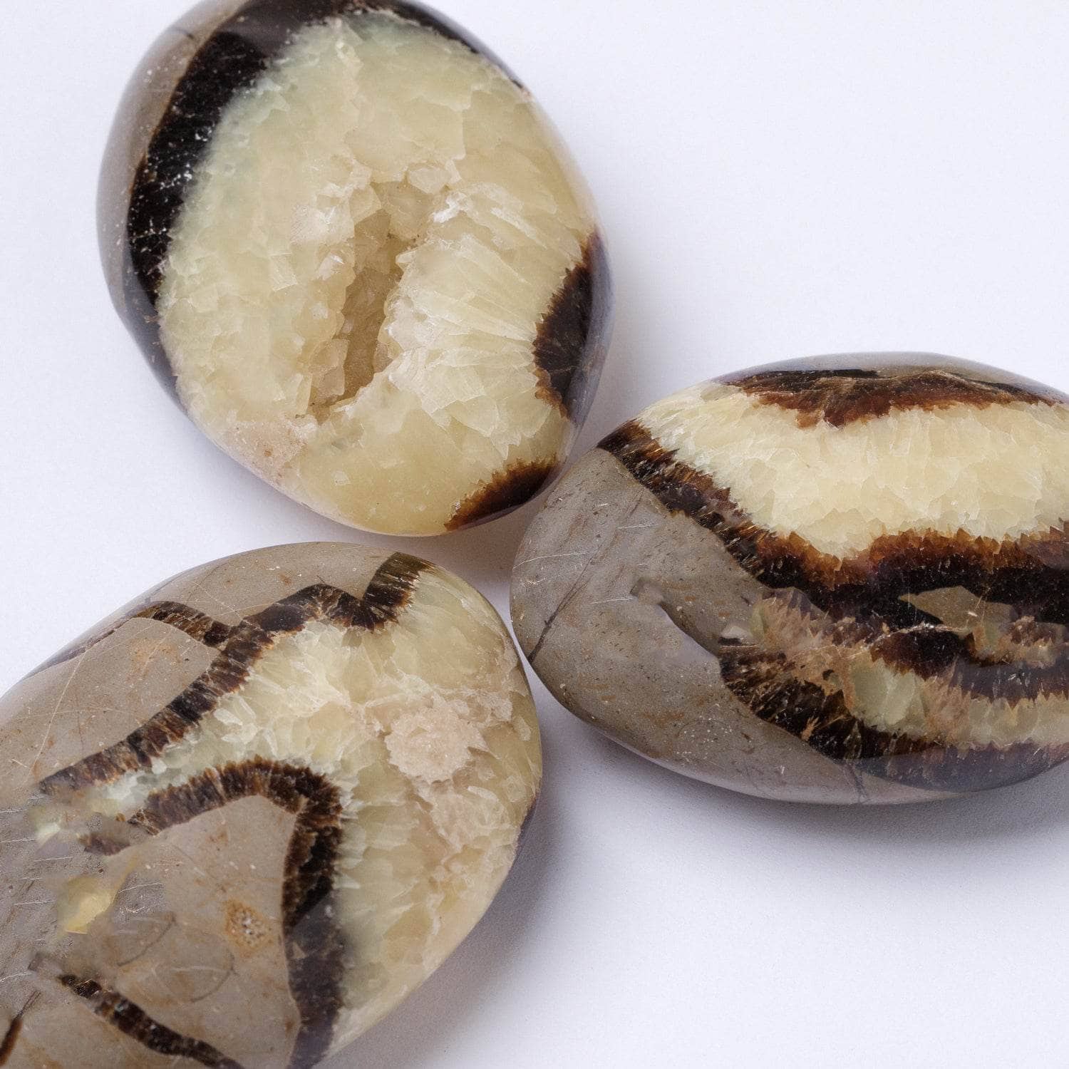 Tr-ps-pw-m1-M-10 Black Septarian Palm Stones - AAA Premium Quality - Image 8