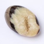 Black Septarian Palm Stones - AAA Premium Quality - Image 9