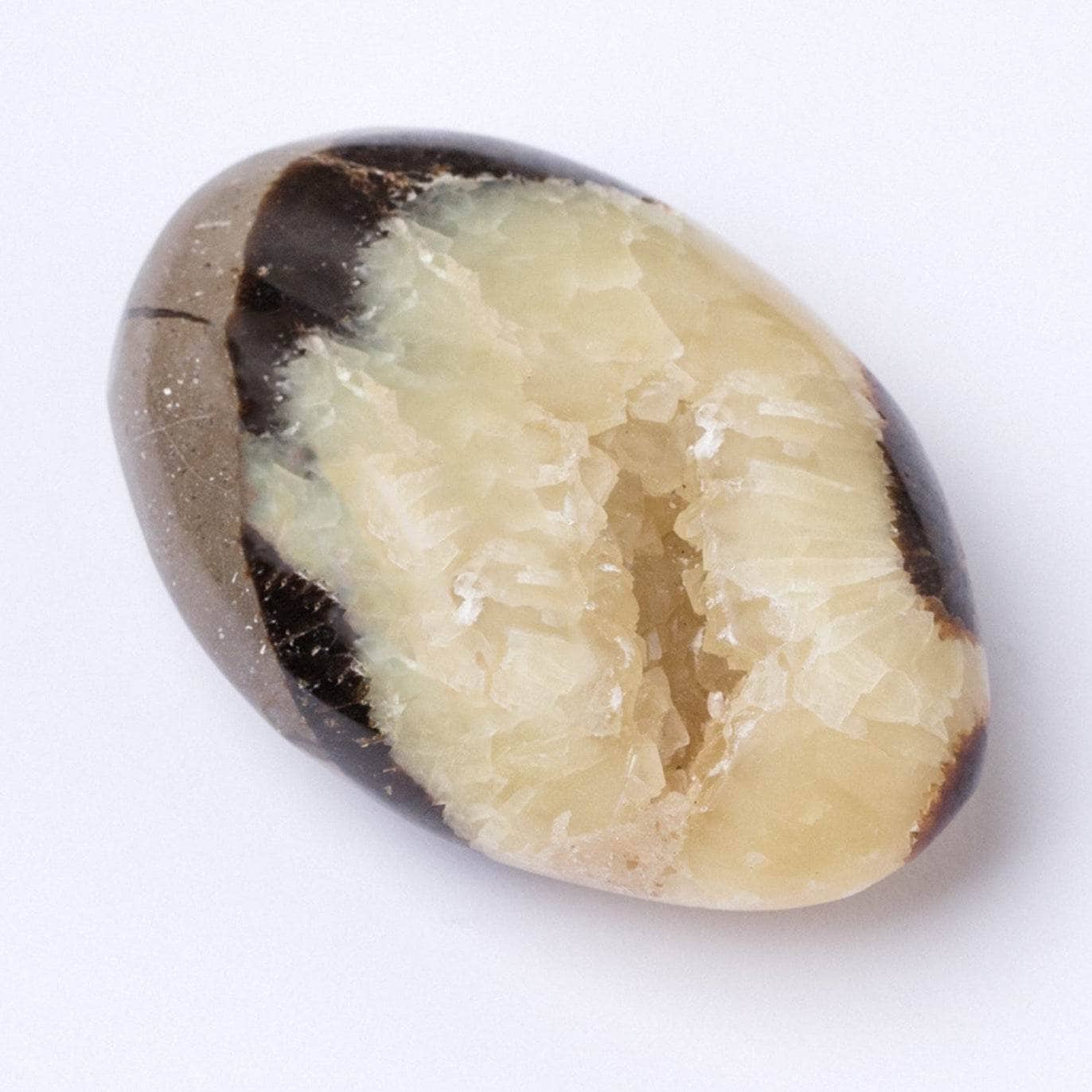 Tr-ps-pw-m1-M-12 Black Septarian Palm Stones - AAA Premium Quality - Image 9