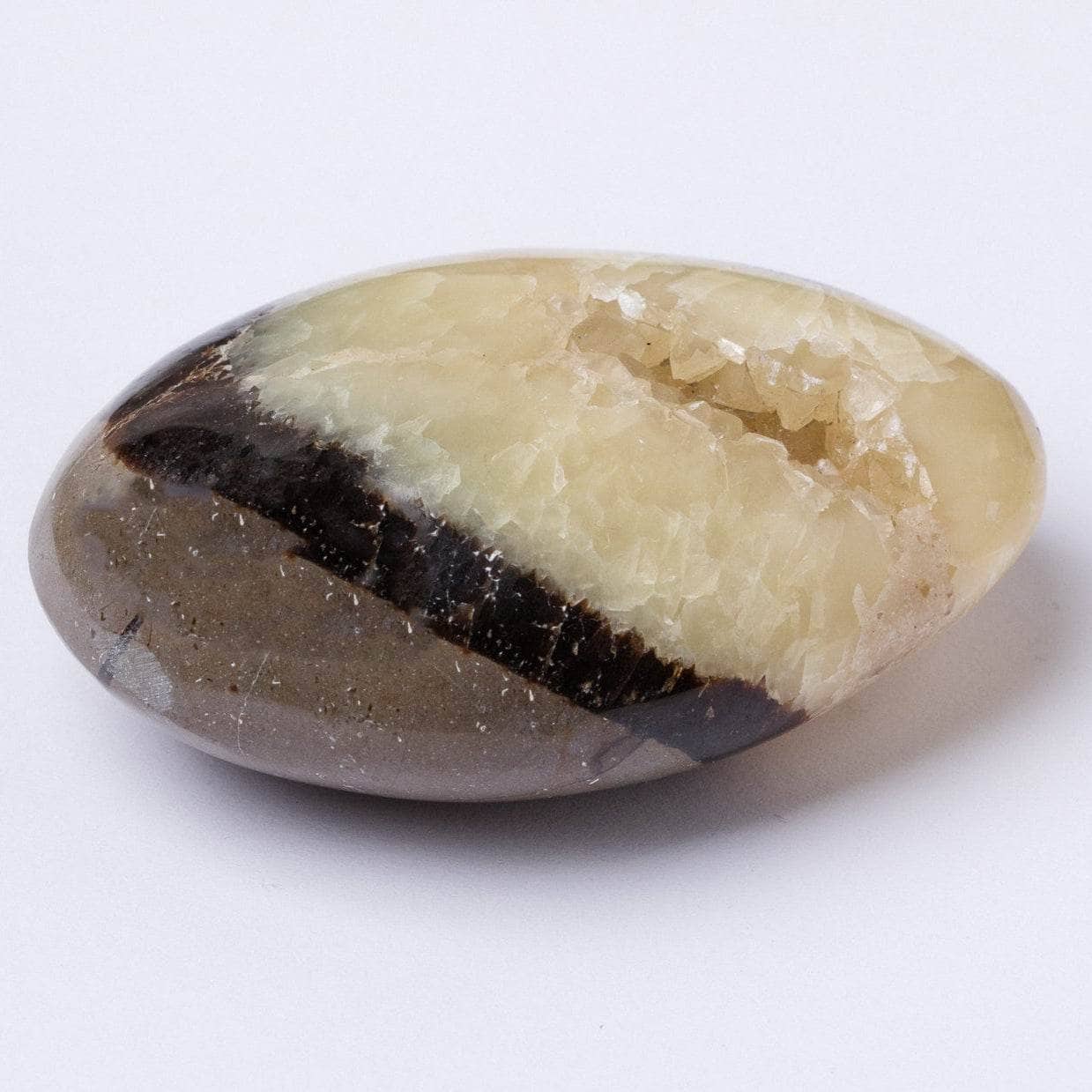 Tr-ps-pw-m1-M-15 Black Septarian Palm Stones - AAA Premium Quality - Image 10