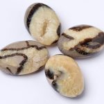 Black Septarian Palm Stones - AAA Premium Quality - Image 7