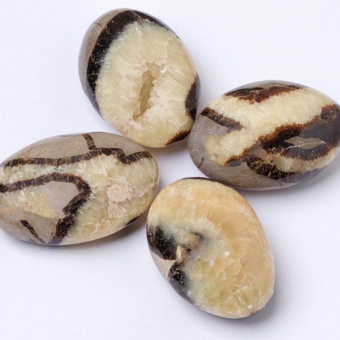 Black Septarian Palm Stones - AAA Premium Quality - Image 7
