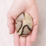 Black Septarian Palm Stones - AAA Premium Quality - Image 6