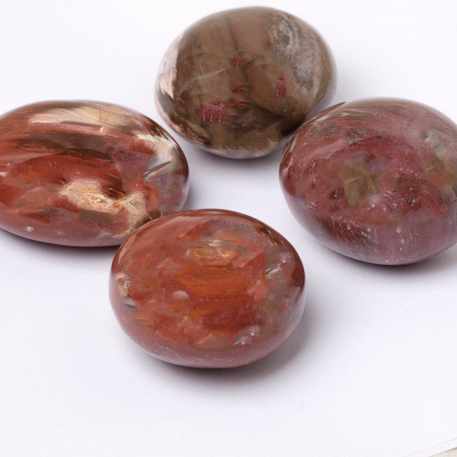 Tr-ps-pw-m1-m-3 Petrified Wood Palm Stones - AAA Premium Quality - Image 6