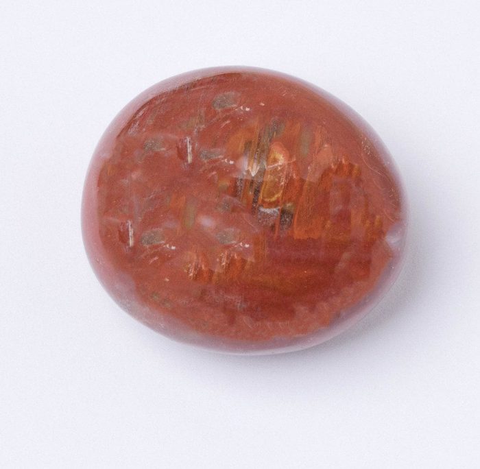 Petrified Wood Palm Stones - AAA Premium Quality - Image 8