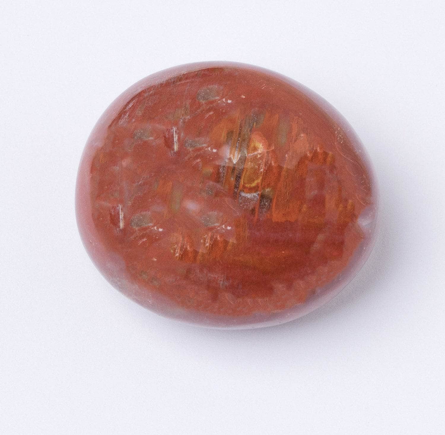 Tr-ps-pw-m1-m-5 Petrified Wood Palm Stones - AAA Premium Quality - Image 8