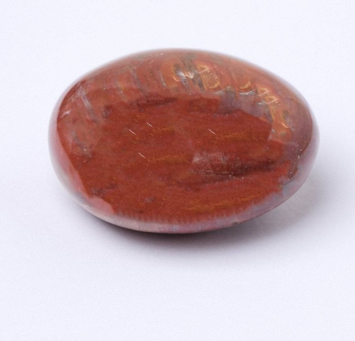 Petrified Wood Palm Stones - AAA Premium Quality - Image 9