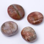 Petrified Wood Palm Stones - AAA Premium Quality - Image 3