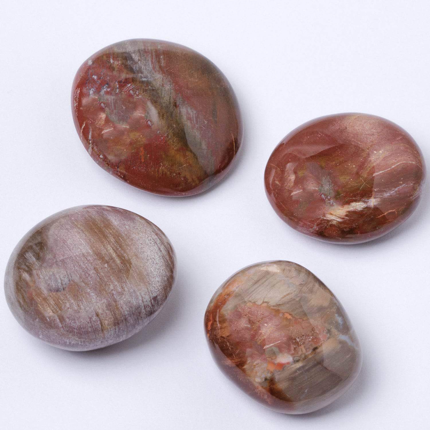 Tr-ps-pw-mi-s-2 Petrified Wood Palm Stones - AAA Premium Quality - Image 3
