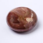 Petrified Wood Palm Stones - AAA Premium Quality - Image 4