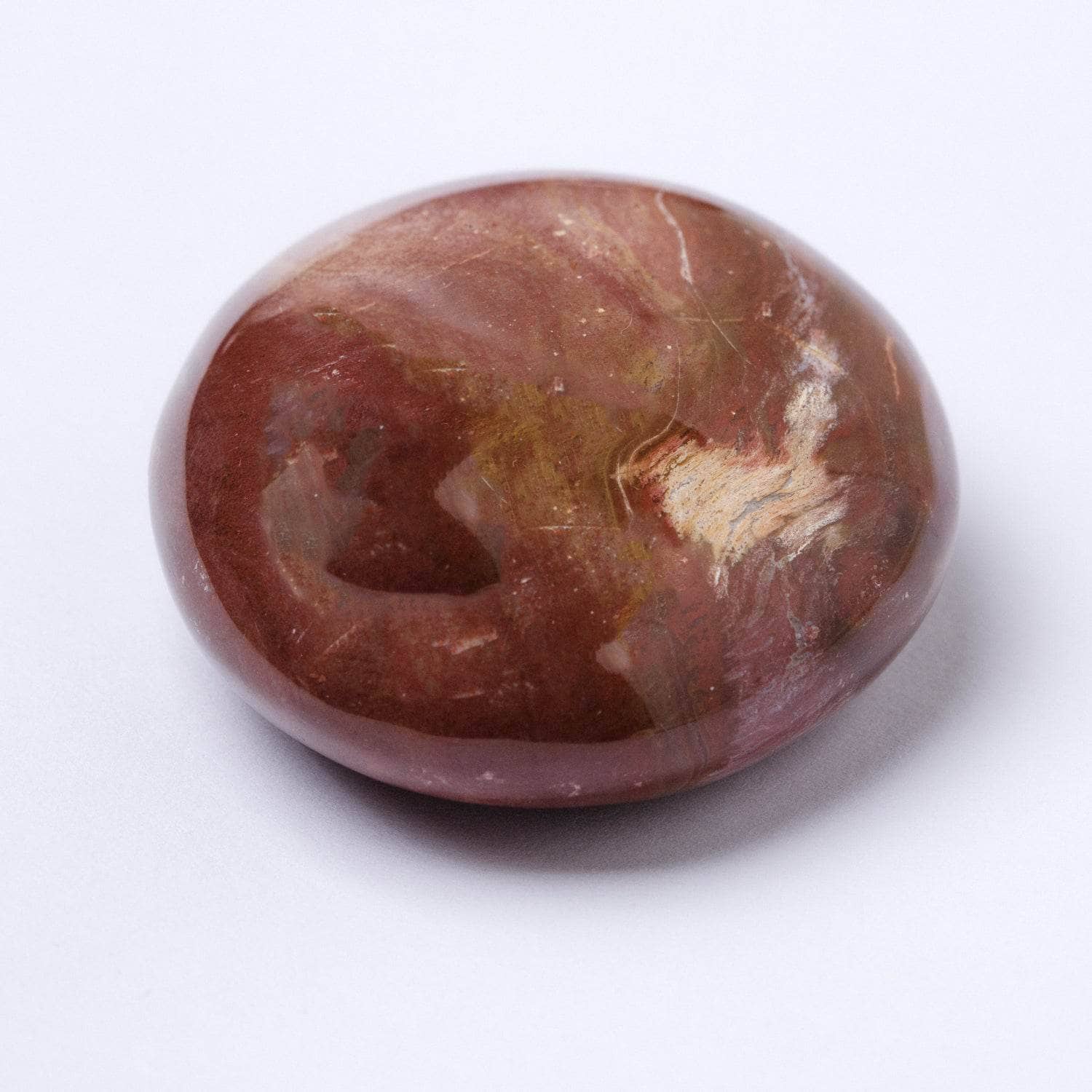 Tr-ps-pw-mi-s-8 Petrified Wood Palm Stones - AAA Premium Quality - Image 4