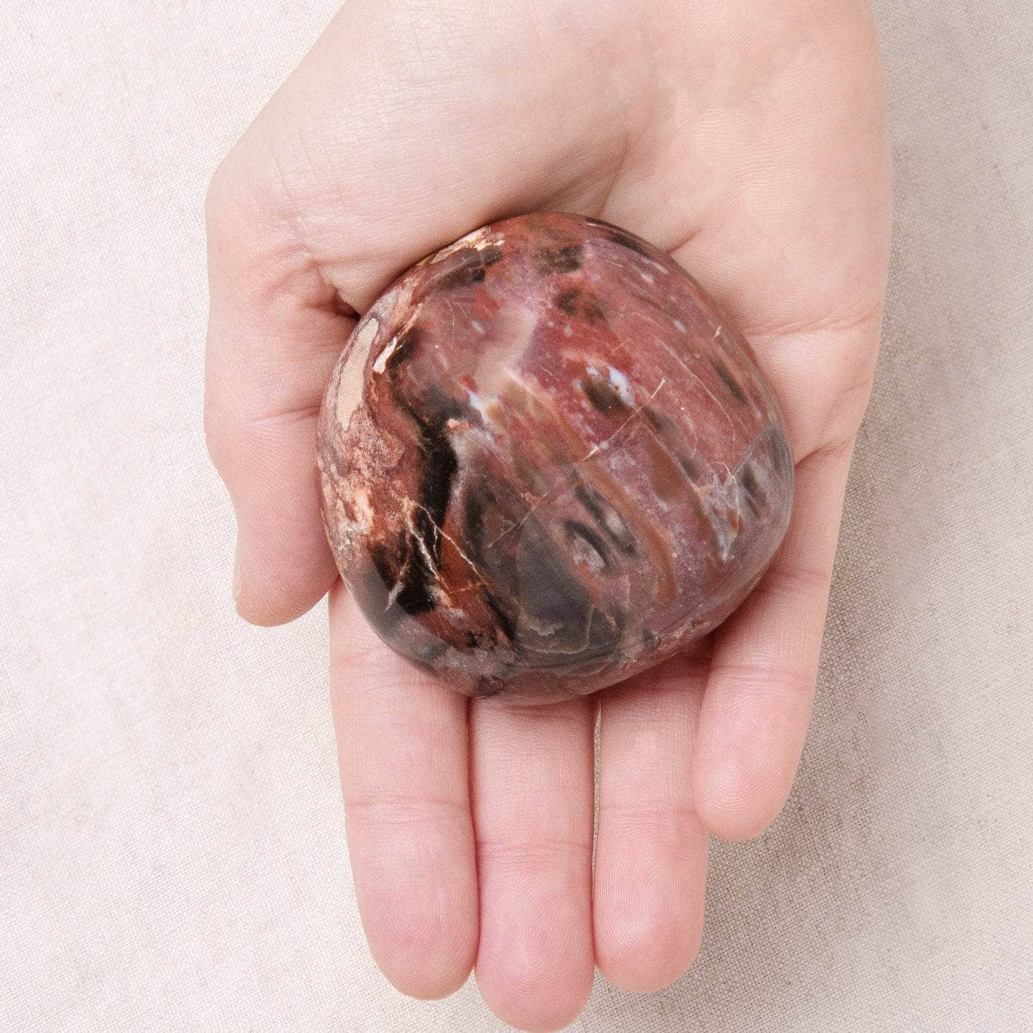 Tr-ps-sept-L-9 Petrified Wood Palm Stones - AAA Premium Quality - Image 10