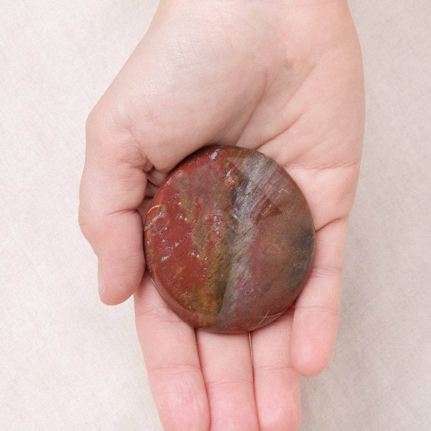 Tr-ps-sept-S-102 Petrified Wood Palm Stones - AAA Premium Quality - Image 2