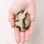 Black Septarian Palm Stones - AAA Premium Quality